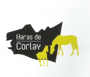 photo logo haras station